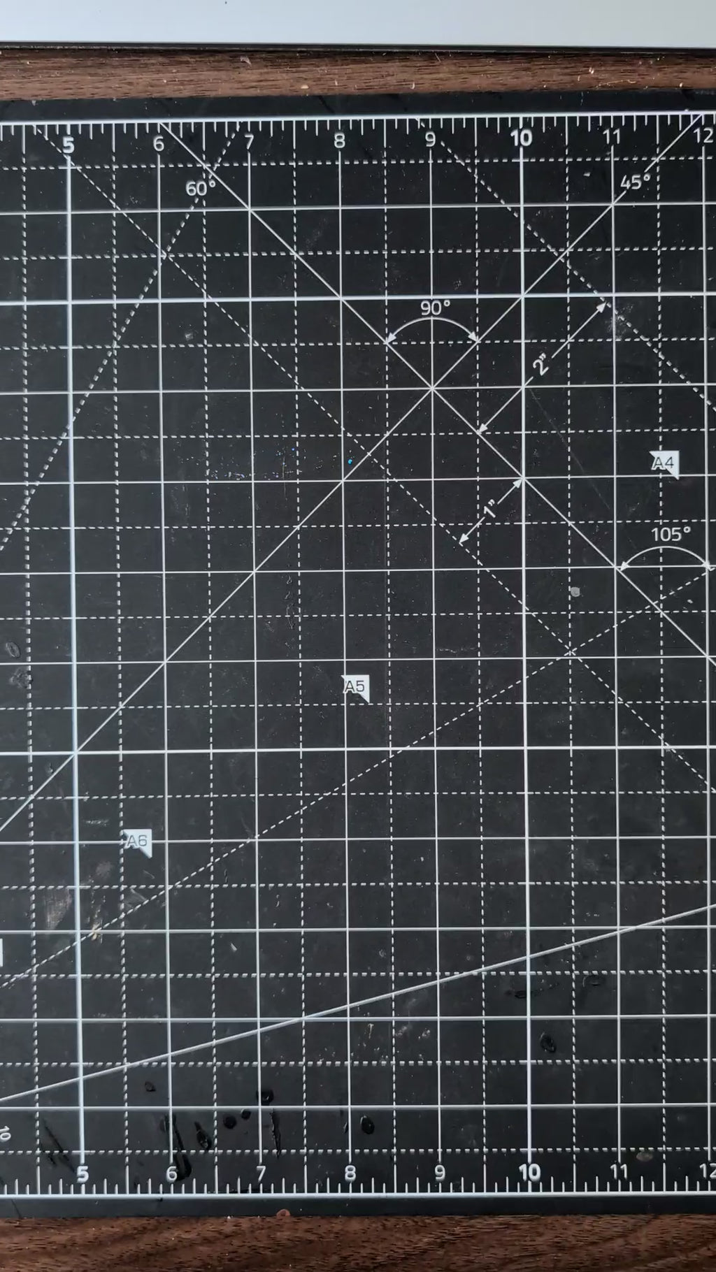 Gold & Black Botanical