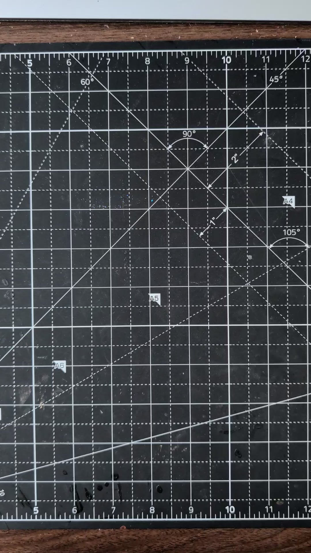 Gold & Black Botanical